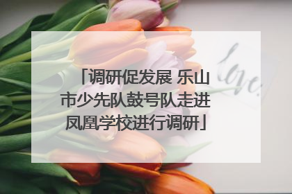 调研促发展 乐山市少先队鼓号队走进凤凰学校进行调研