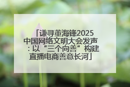谦寻董海锋2025中国网络文明大会发声：以“三个向善”构建直播电商善意长河