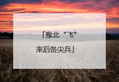 豫北“飞”来后备尖兵