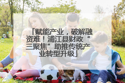 赋能产业，破解融资难！浦江县财政“三聚焦”助推传统产业转型升级