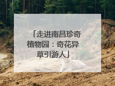 走进南昌珍奇植物园：奇花异草引游人