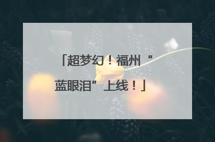 超梦幻！福州“蓝眼泪”上线！