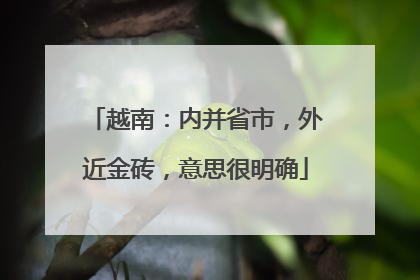 越南：内并省市，外近金砖，意思很明确