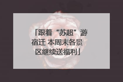 跟着“苏超”游宿迁 本周末各景区继续送福利