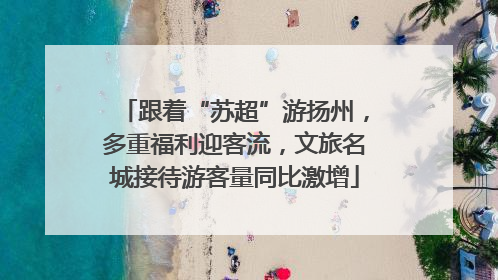 跟着“苏超”游扬州，多重福利迎客流，文旅名城接待游客量同比激增