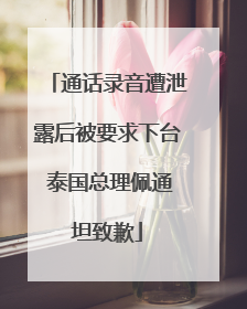 通话录音遭泄露后被要求下台 泰国总理佩通坦致歉