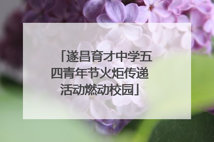 遂昌育才中学五四青年节火炬传递活动燃动校园