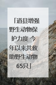 道县增强野生动物保护力度 今年以来共救助野生动物65只