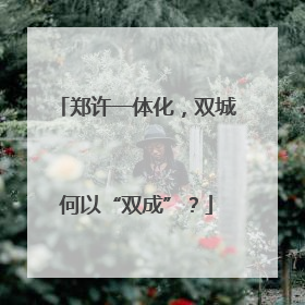 郑许一体化，双城何以“双成”？