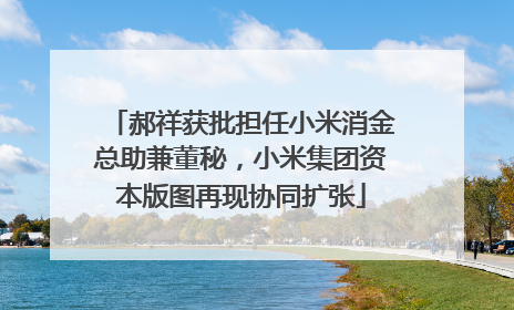 郝祥获批担任小米消金总助兼董秘，小米集团资本版图再现协同扩张