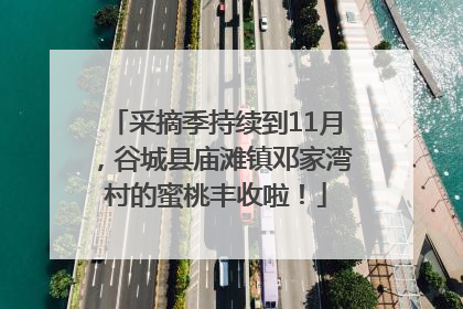 采摘季持续到11月，谷城县庙滩镇邓家湾村的蜜桃丰收啦！