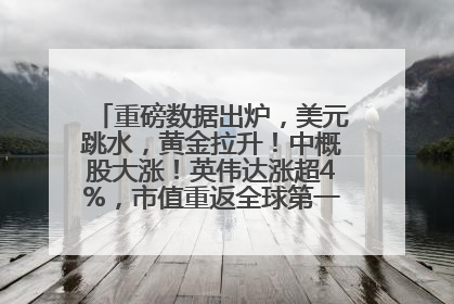 重磅数据出炉，美元跳水，黄金拉升！中概股大涨！英伟达涨超4%，市值重返全球第一！黄仁勋计划出售至多600万股股票