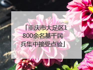 重庆市大足区1800余名基干民兵集中接受点验