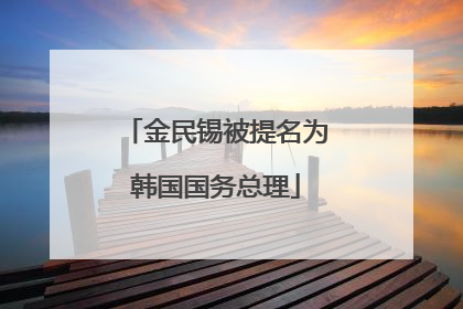 金民锡被提名为韩国国务总理