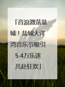 音浪激荡盐城！盐城大洋湾音乐节吸引5.4万乐迷共赴狂欢