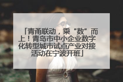 青甬联动，乘“数”而上！青岛市中小企业数字化转型城市试点产业对接活动在宁波开班
