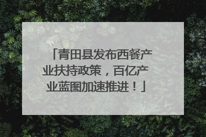 青田县发布西餐产业扶持政策，百亿产业蓝图加速推进！