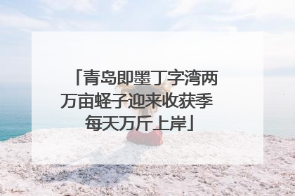 青岛即墨丁字湾两万亩蛏子迎来收获季 每天万斤上岸