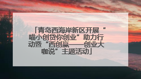 青岛西海岸新区开展“喵小创贷你创业”助力行动暨“西创赢——创业大咖说”主题活动
