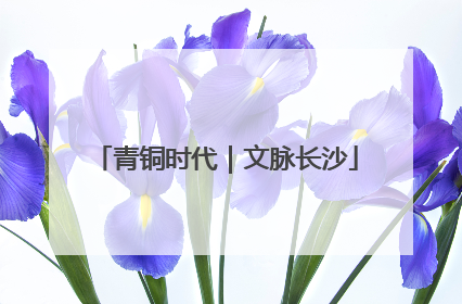 青铜时代｜文脉长沙