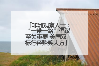 非洲观察人士：“一带一路”倡议至关重要 美国双标行径贻笑大方