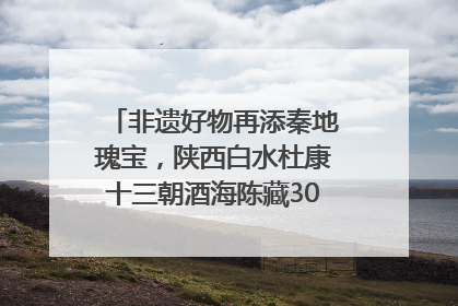 非遗好物再添秦地瑰宝，陕西白水杜康十三朝酒海陈藏30年别具一格