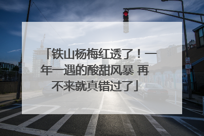 铁山杨梅红透了！一年一遇的酸甜风暴 再不来就真错过了