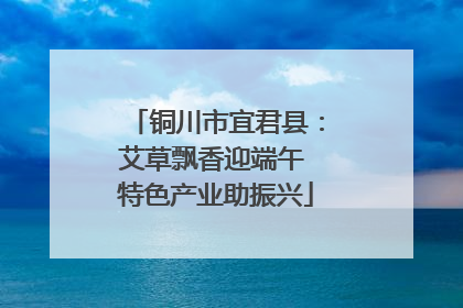 铜川市宜君县：艾草飘香迎端午 特色产业助振兴