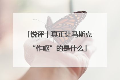 锐评｜真正让马斯克“作呕”的是什么