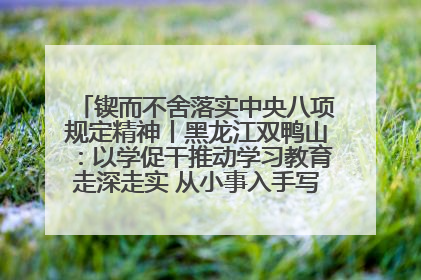 锲而不舍落实中央八项规定精神丨黑龙江双鸭山：以学促干推动学习教育走深走实 从小事入手写好“民生答卷”