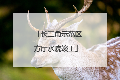长三角示范区方厅水院竣工