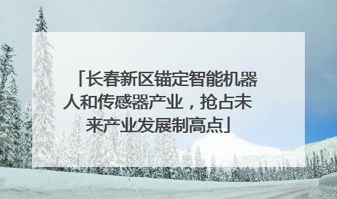 长春新区锚定智能机器人和传感器产业，抢占未来产业发展制高点