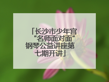 长沙市少年宫“名师面对面”钢琴公益讲座第七期开讲