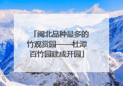 闽北品种最多的竹观赏园——杜潭百竹园建成开园