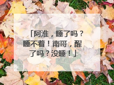 阿淮，睡了吗？睡不着！南哥，醒了吗？没睡！