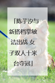 陈芋汐与新搭档掌敏洁出战 女子双人十米台夺冠