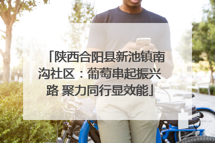 陕西合阳县新池镇南沟社区：葡萄串起振兴路 聚力同行显效能
