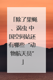 除了果蝇、涡虫 中国空间站还有哪些“动物航天员”