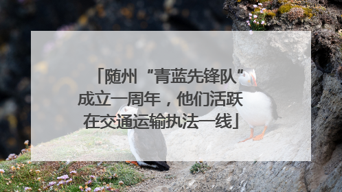 随州“青蓝先锋队”成立一周年，他们活跃在交通运输执法一线