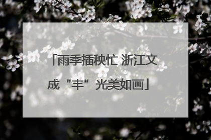雨季插秧忙 浙江文成“丰”光美如画