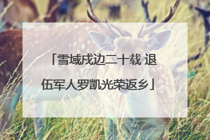 雪域戍边二十载 退伍军人罗凯光荣返乡