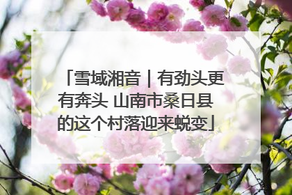 雪域湘音｜有劲头更有奔头 山南市桑日县的这个村落迎来蜕变