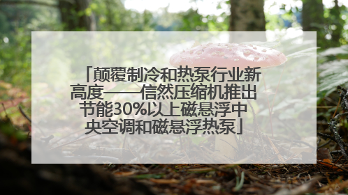 颠覆制冷和热泵行业新高度——信然压缩机推出节能30%以上磁悬浮中央空调和磁悬浮热泵