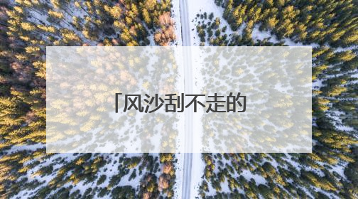 风沙刮不走的足迹——彰武“逐绿”记