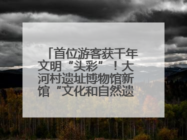 首位游客获千年文明“头彩”！大河村遗址博物馆新馆“文化和自然遗产日”璀璨启幕