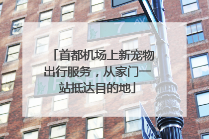 首都机场上新宠物出行服务，从家门一站抵达目的地