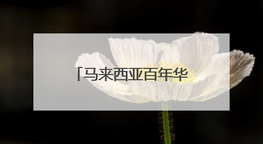 马来西亚百年华小“饮水思源”