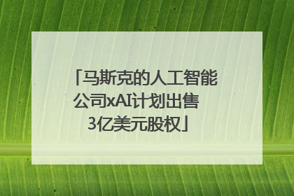 马斯克的人工智能公司xAI计划出售3亿美元股权