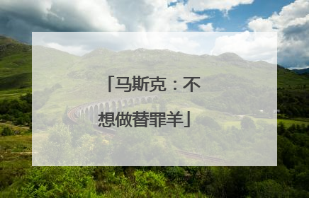 马斯克：不想做替罪羊