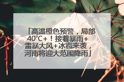 高温橙色预警，局部40℃+！接着暴雨+雷暴大风+冰雹来袭，河南将迎大范围降雨